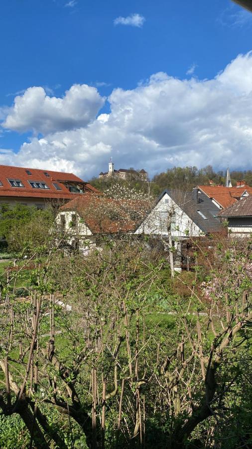 Arto Castle View Apartment Любляна Экстерьер фото